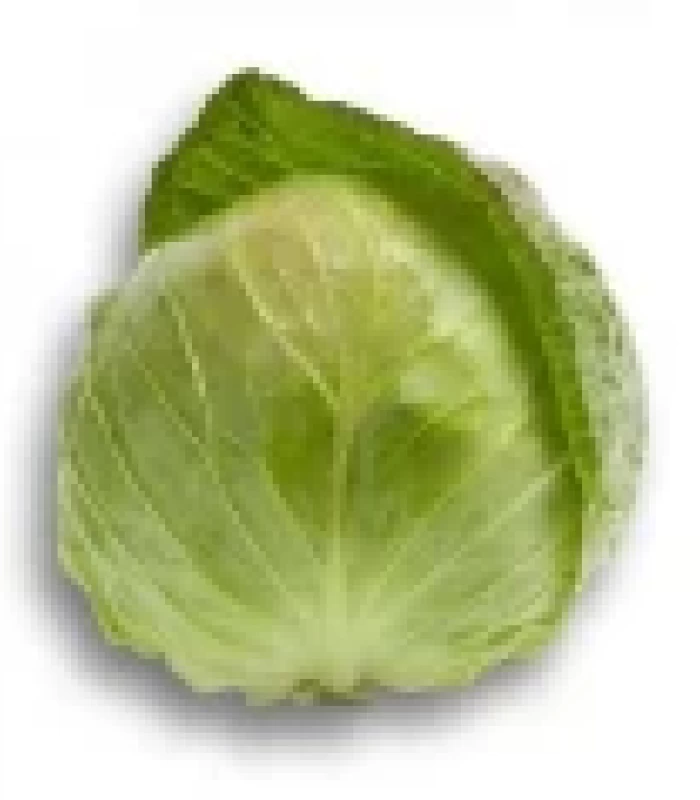 Fejeskáposzta