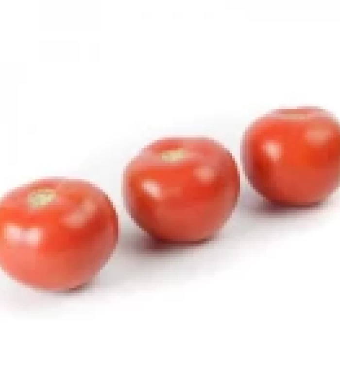 Ipari paradicsom