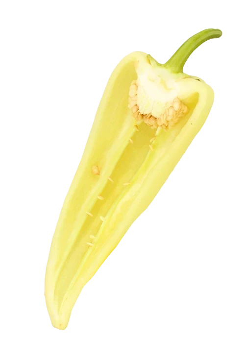 Étkezési fehér paprika (TV paprika)