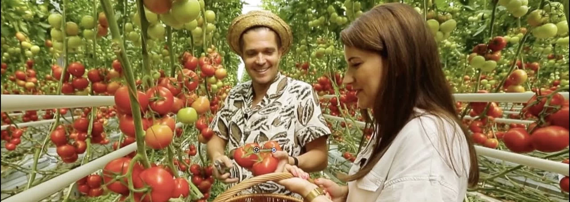 Gyetván Csaba - Az Alföldön már föld sem kell a paprika és paradicsom termesztéséhez